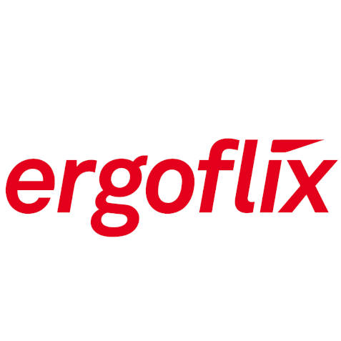 ergoflix